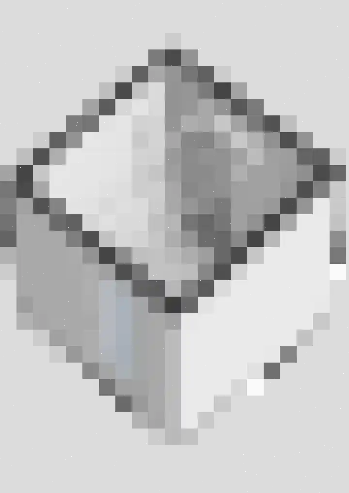 De Hout 31 Hem thumbnail 119