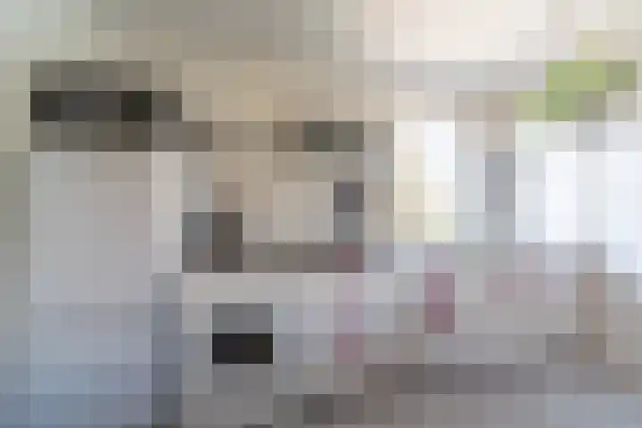 De Hout 31 Hem thumbnail 12