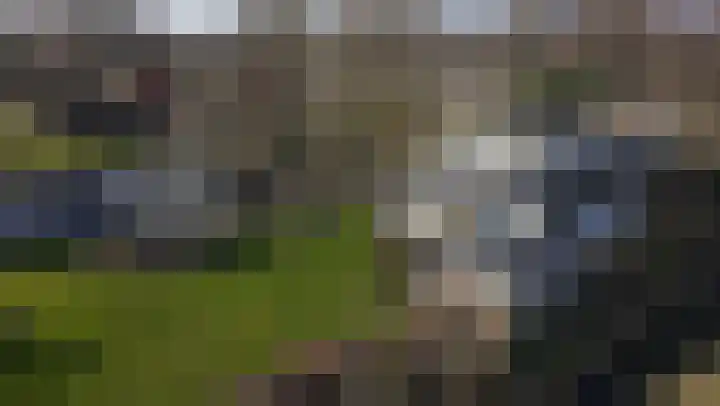 De Hout 31 Hem thumbnail 120