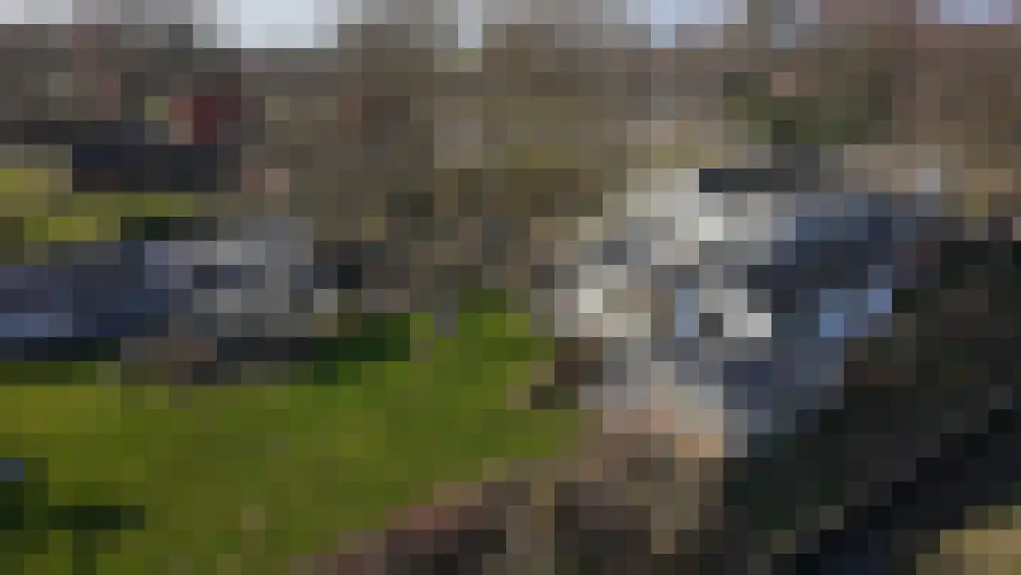 De Hout 31 Hem thumbnail 120