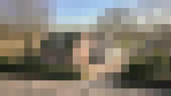 De Hout 31 Hem thumbnail 124