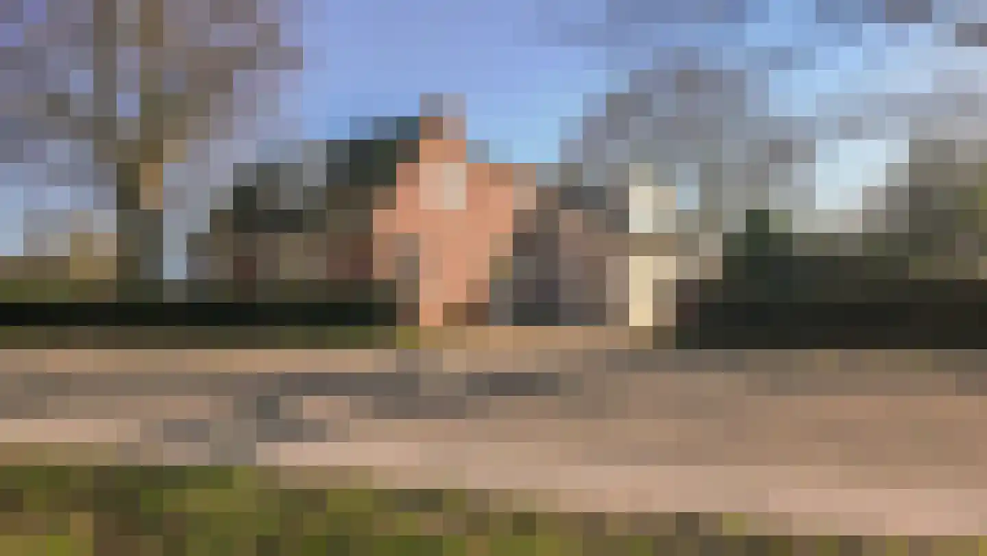 De Hout 31 Hem thumbnail 126