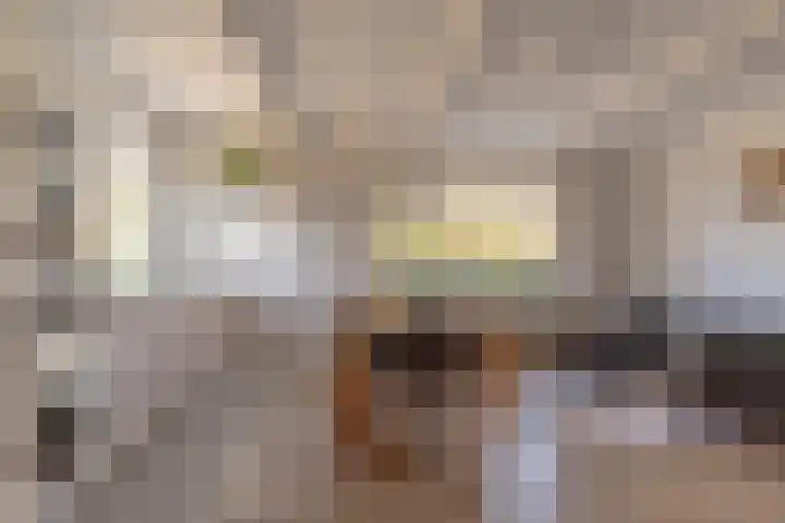 De Hout 31 Hem thumbnail 17