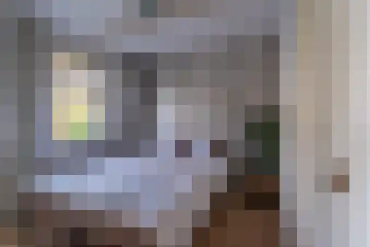 De Hout 31 Hem thumbnail 18