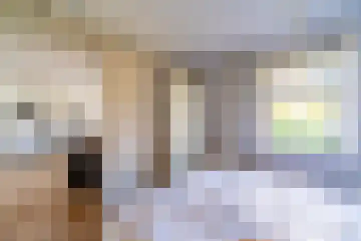De Hout 31 Hem thumbnail 20