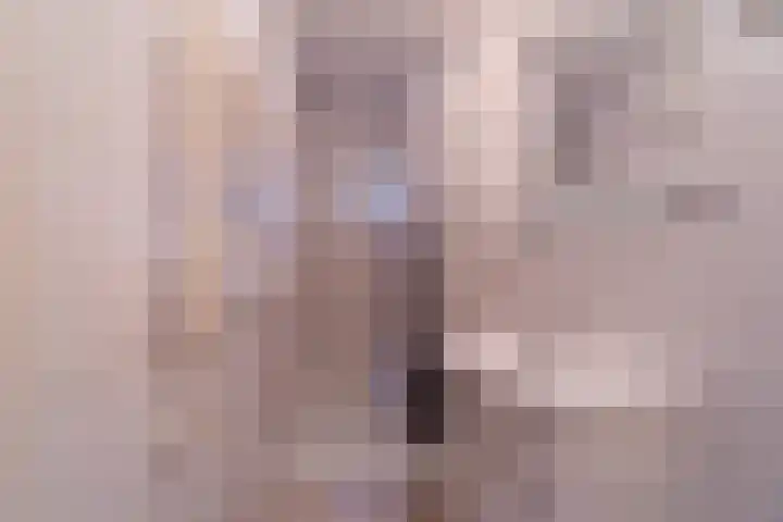 De Hout 31 Hem thumbnail 22