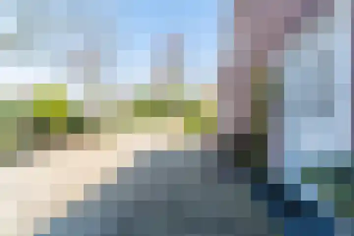 De Hout 31 Hem thumbnail 26