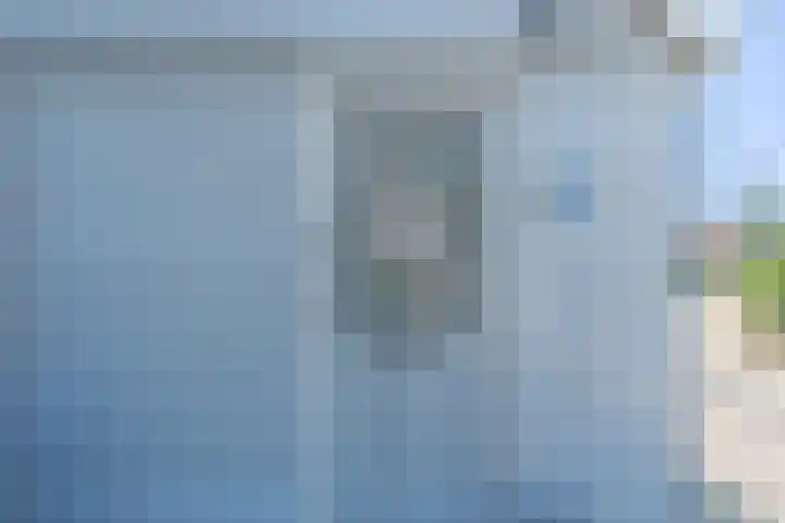 De Hout 31 Hem thumbnail 27