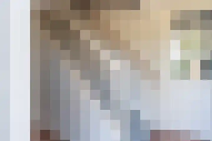 De Hout 31 Hem thumbnail 28