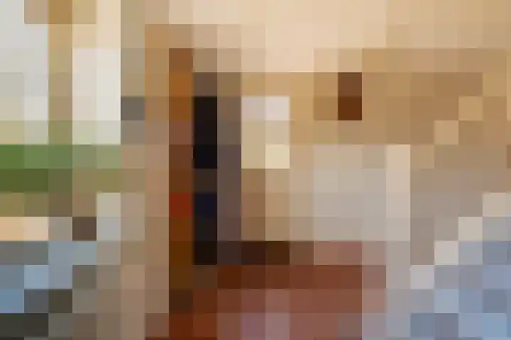 De Hout 31 Hem thumbnail 30