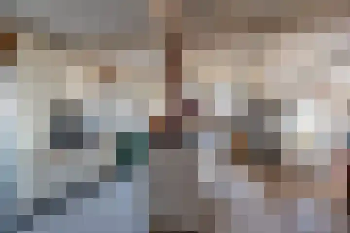 De Hout 31 Hem thumbnail 33