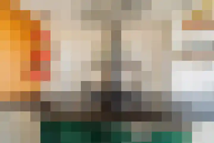 De Hout 31 Hem thumbnail 38