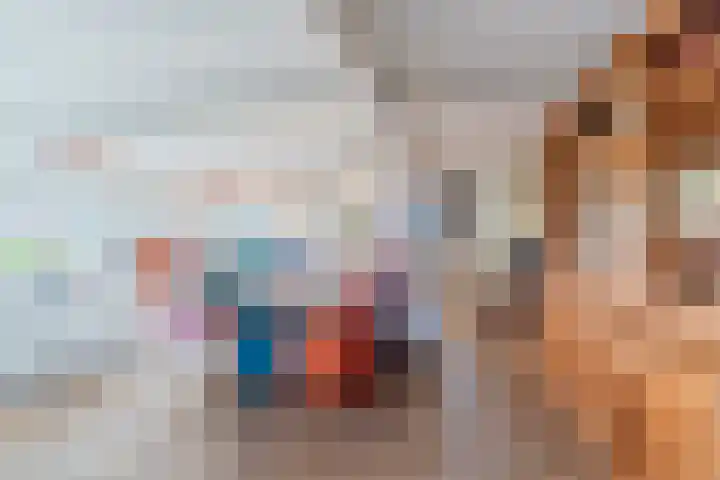 De Hout 31 Hem thumbnail 41