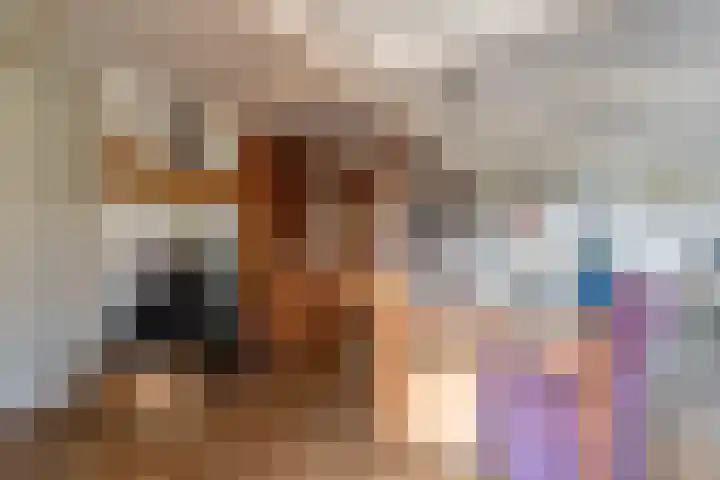 De Hout 31 Hem thumbnail 44