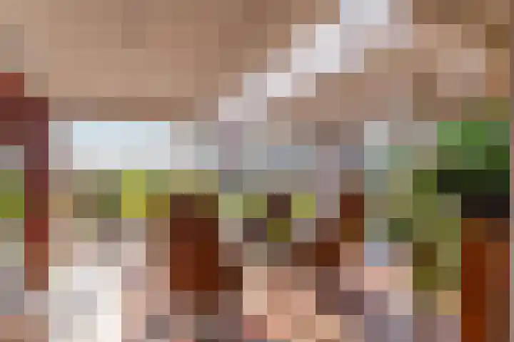 De Hout 31 Hem thumbnail 49