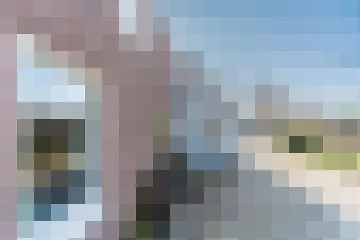 De Hout 31 Hem thumbnail 5