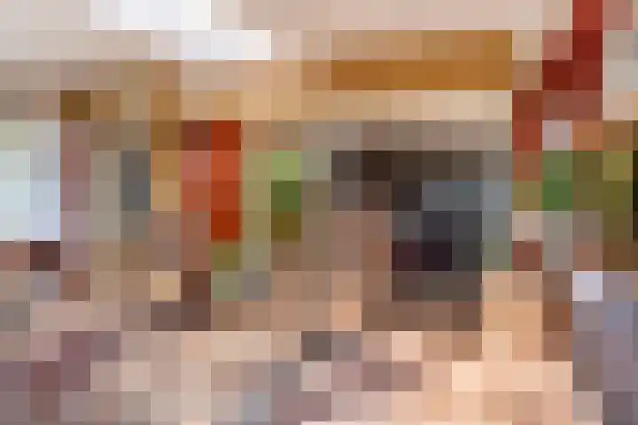 De Hout 31 Hem thumbnail 51
