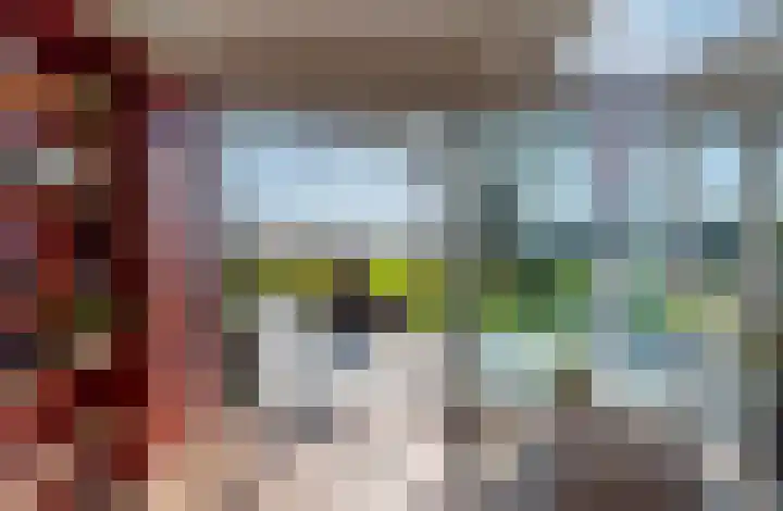 De Hout 31 Hem thumbnail 53