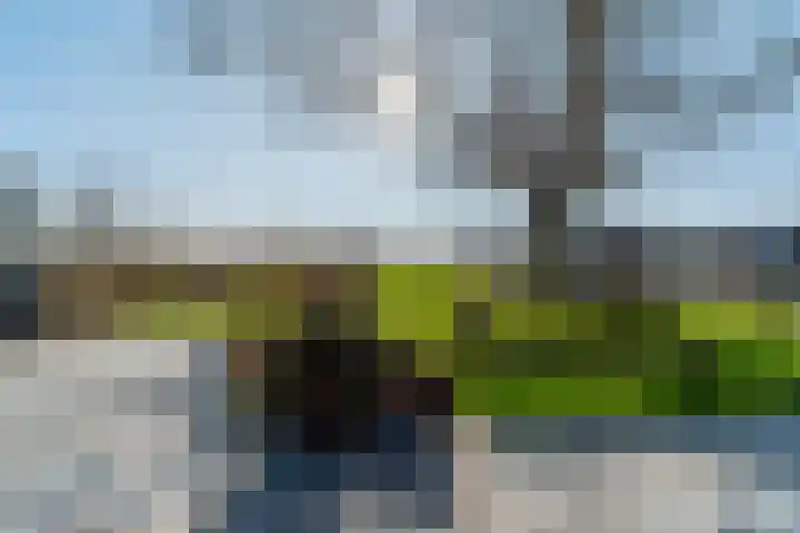 De Hout 31 Hem thumbnail 55