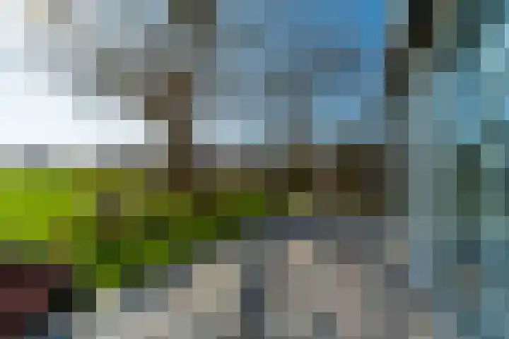 De Hout 31 Hem thumbnail 56