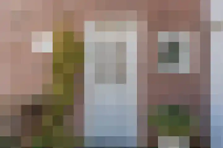 De Hout 31 Hem thumbnail 6