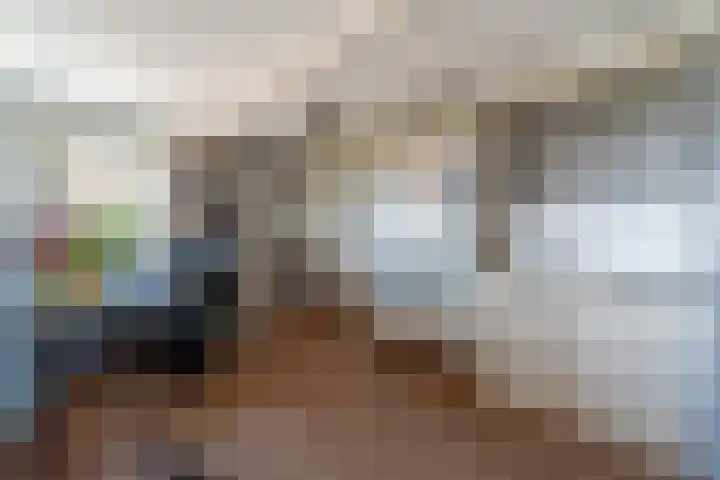 De Hout 31 Hem thumbnail 60