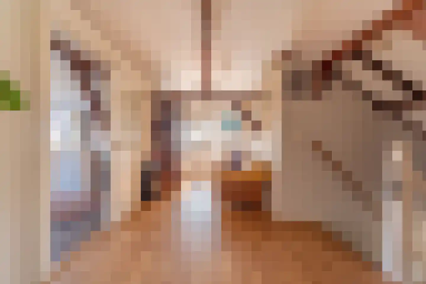 De Hout 31 Hem thumbnail 66