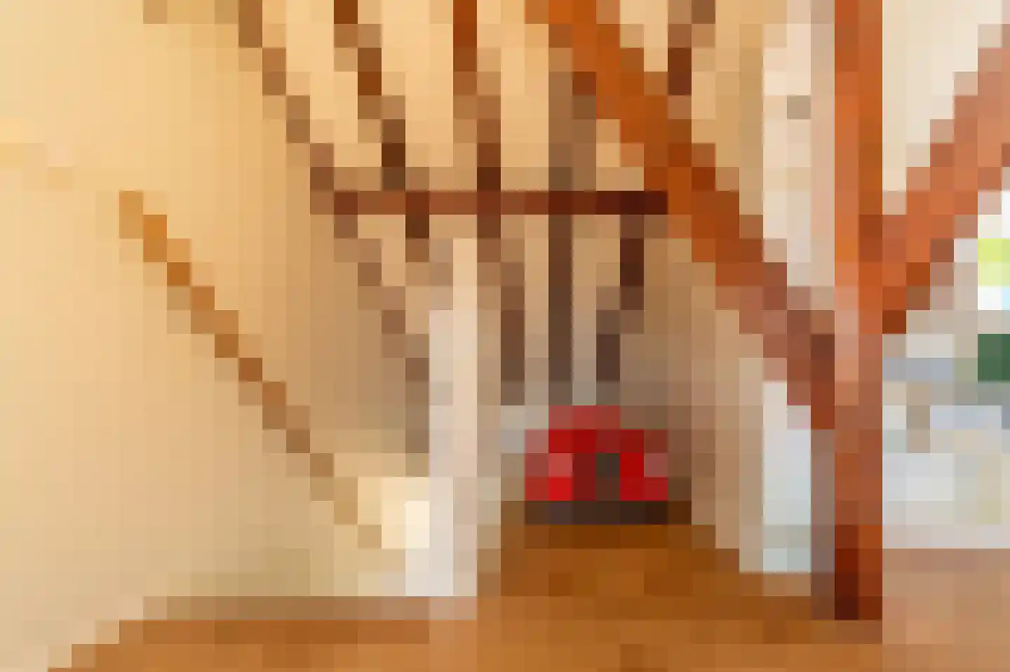 De Hout 31 Hem thumbnail 67
