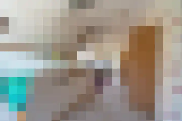 De Hout 31 Hem thumbnail 69