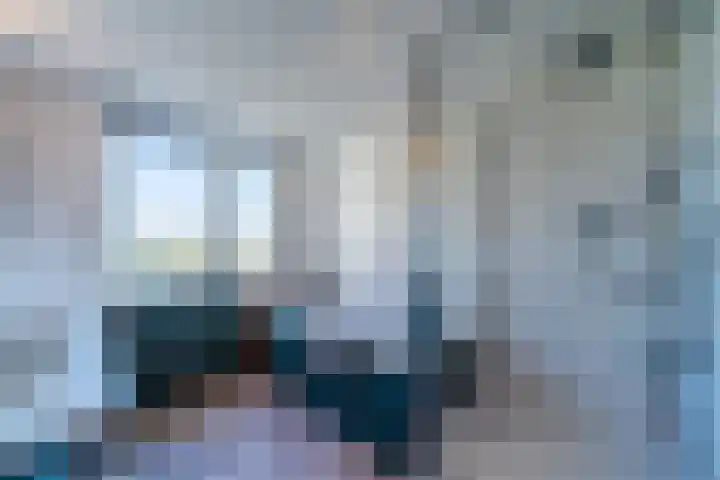 De Hout 31 Hem thumbnail 77