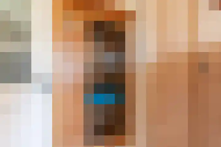 De Hout 31 Hem thumbnail 79