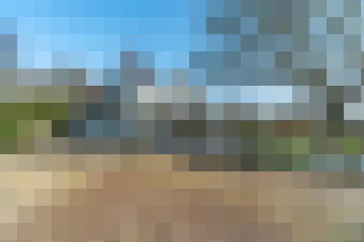 De Hout 31 Hem thumbnail 89