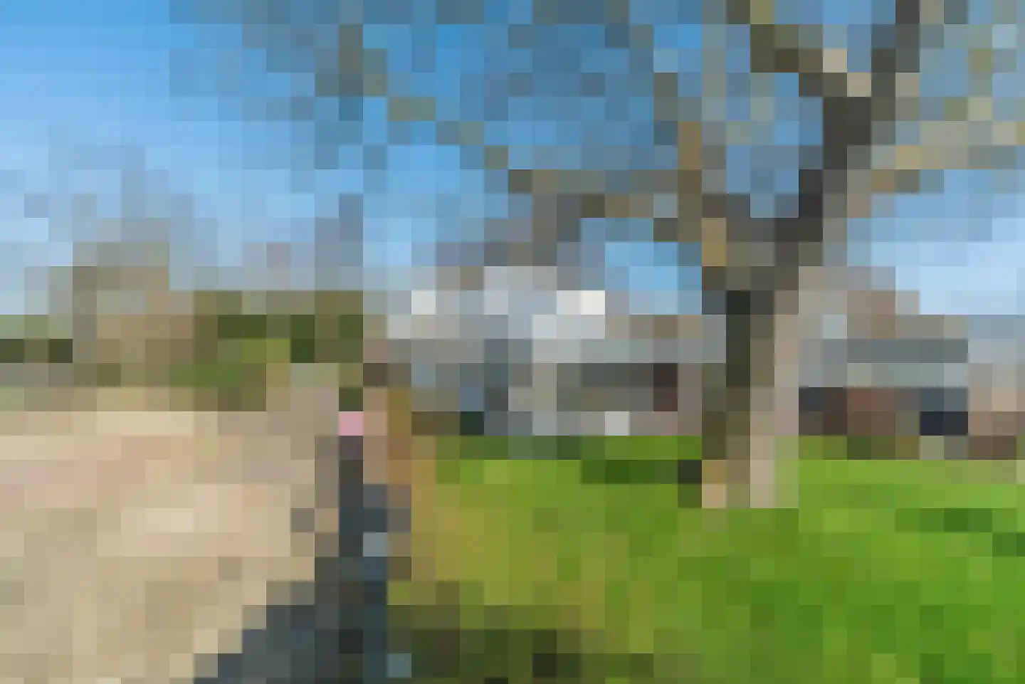 De Hout 31 Hem thumbnail 93