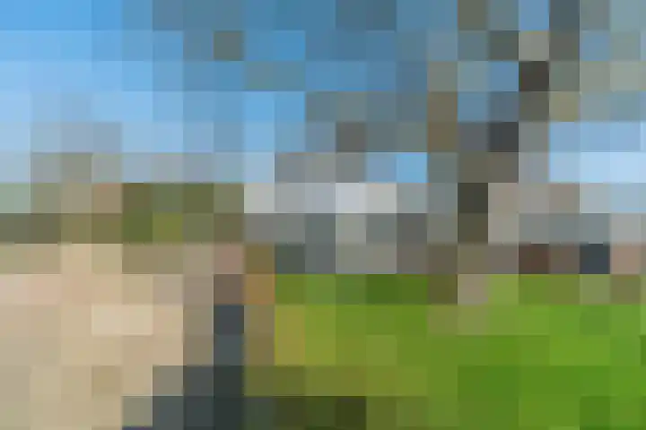 De Hout 31 Hem thumbnail 93