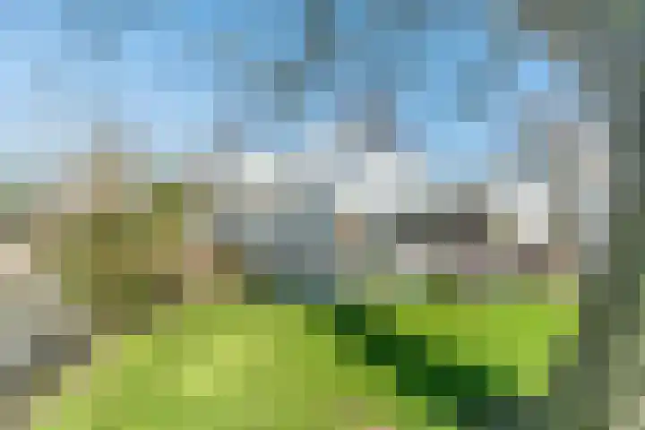 De Hout 31 Hem thumbnail 94