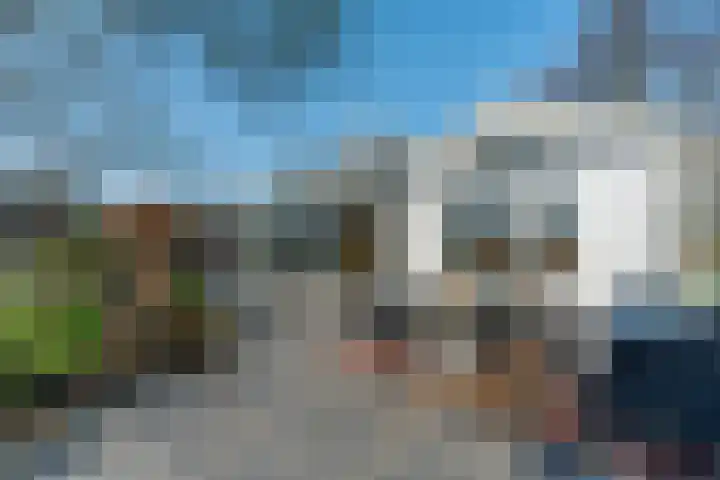 De Hout 31 Hem thumbnail 96