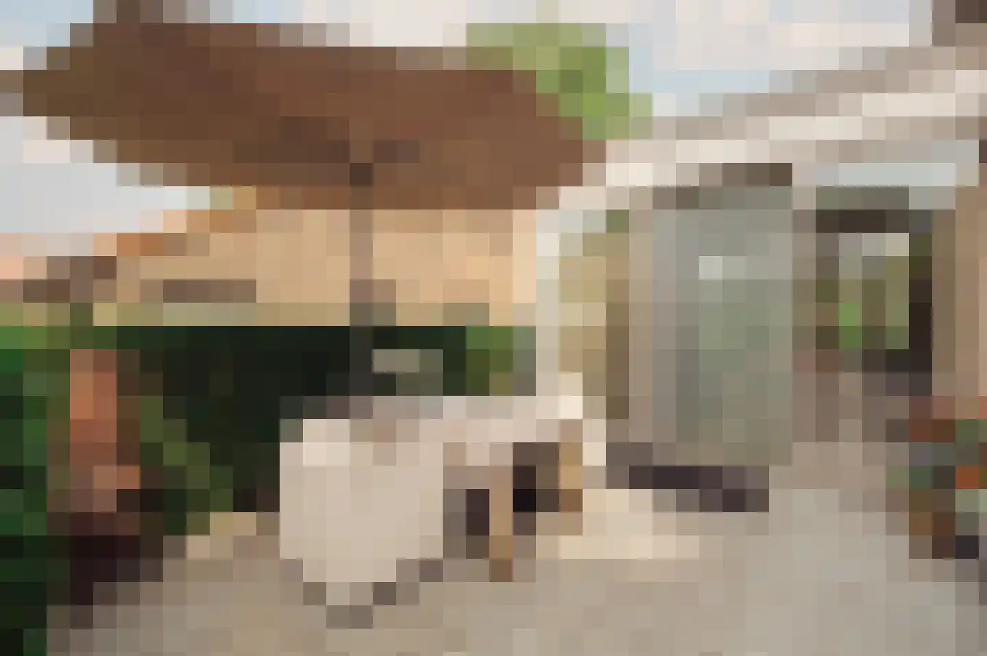 De Hout 46 Hem thumbnail 19