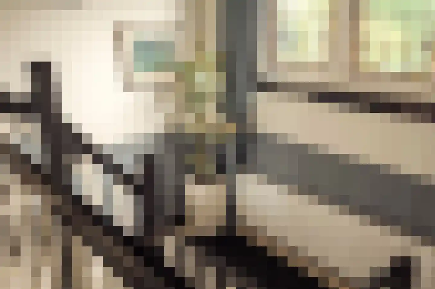De Hout 46 Hem thumbnail 25