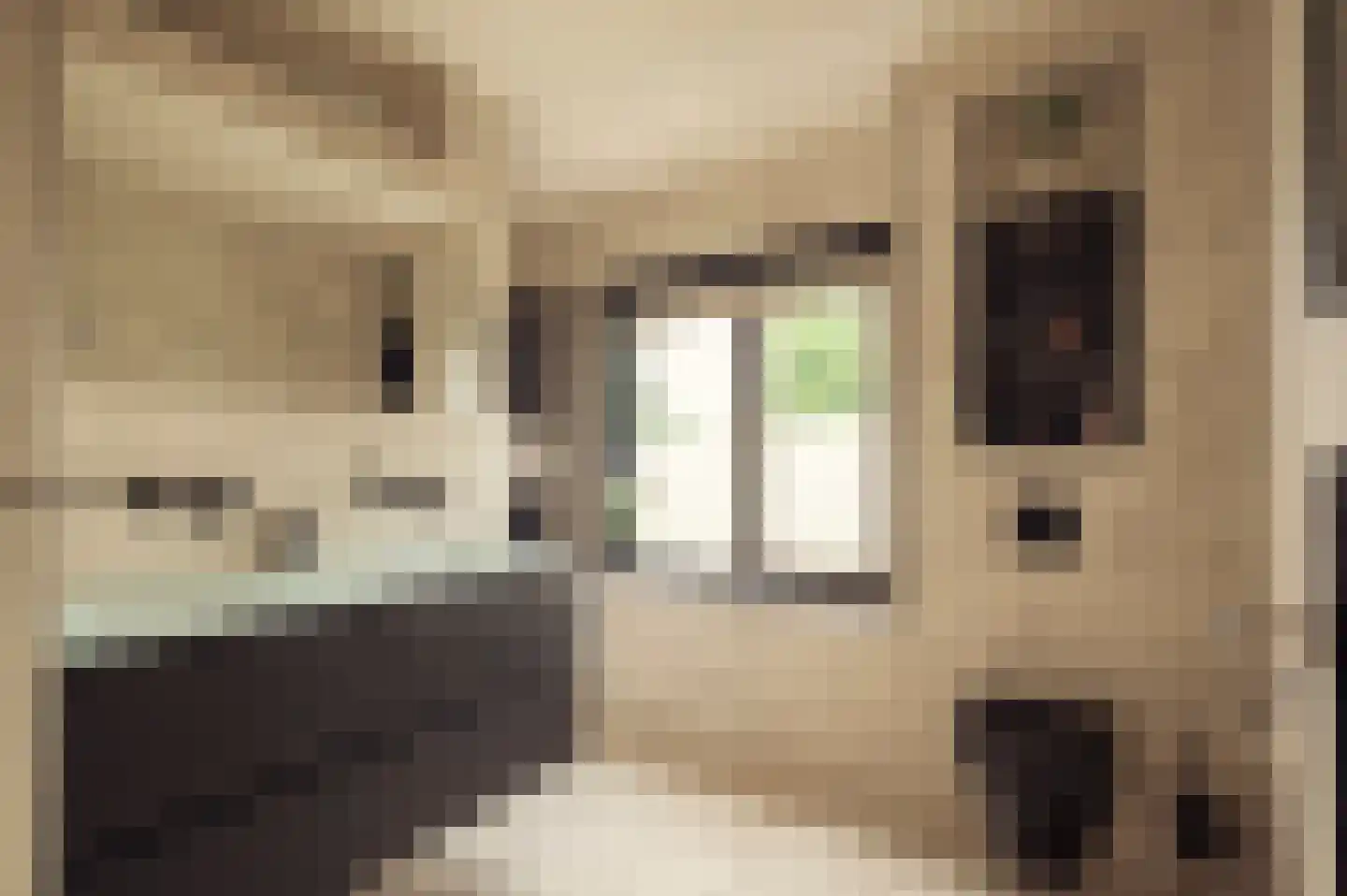 De Hout 46 Hem thumbnail 36
