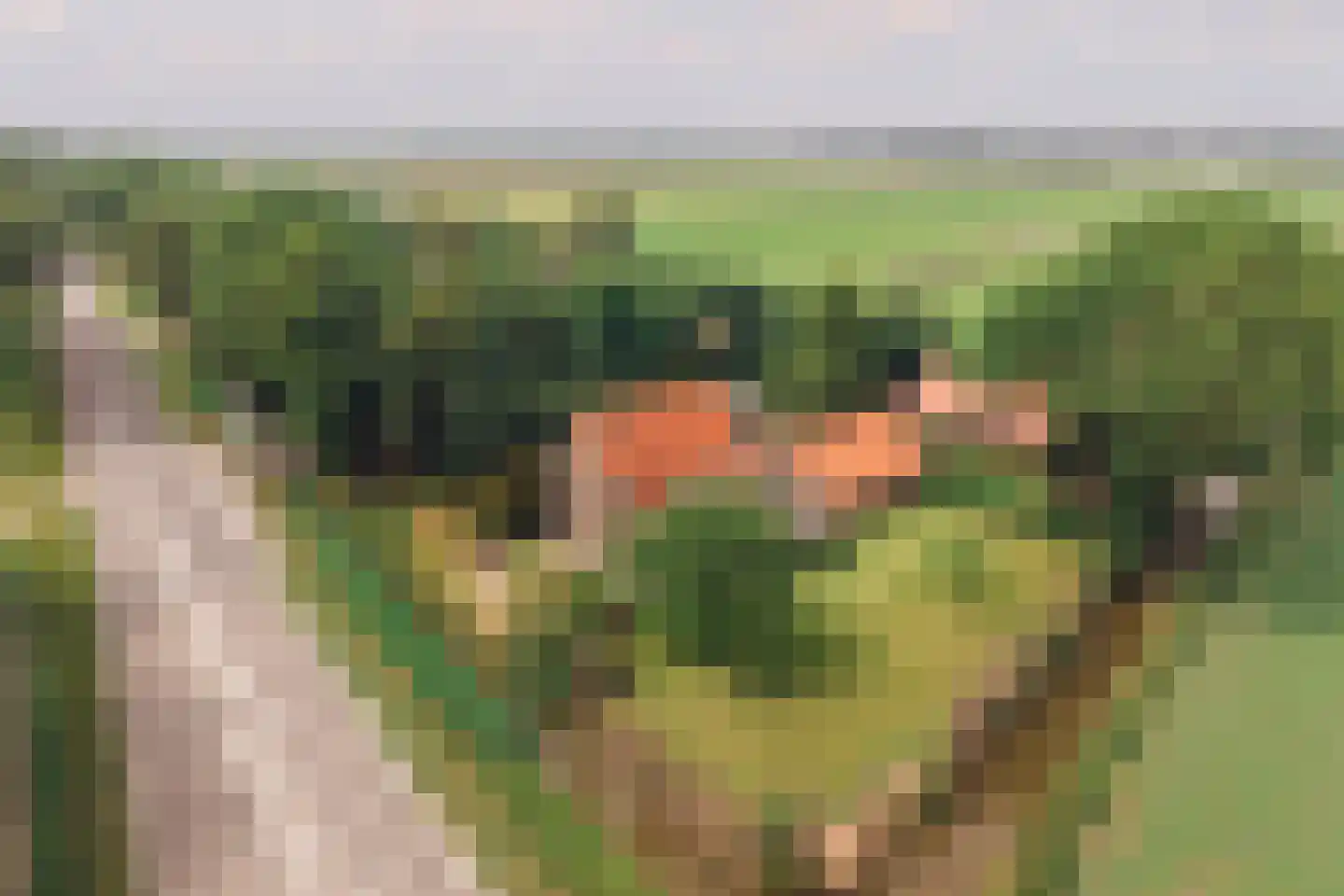 De Hout 46 Hem thumbnail 4