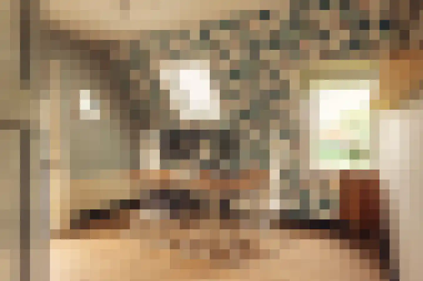 De Hout 46 Hem thumbnail 40