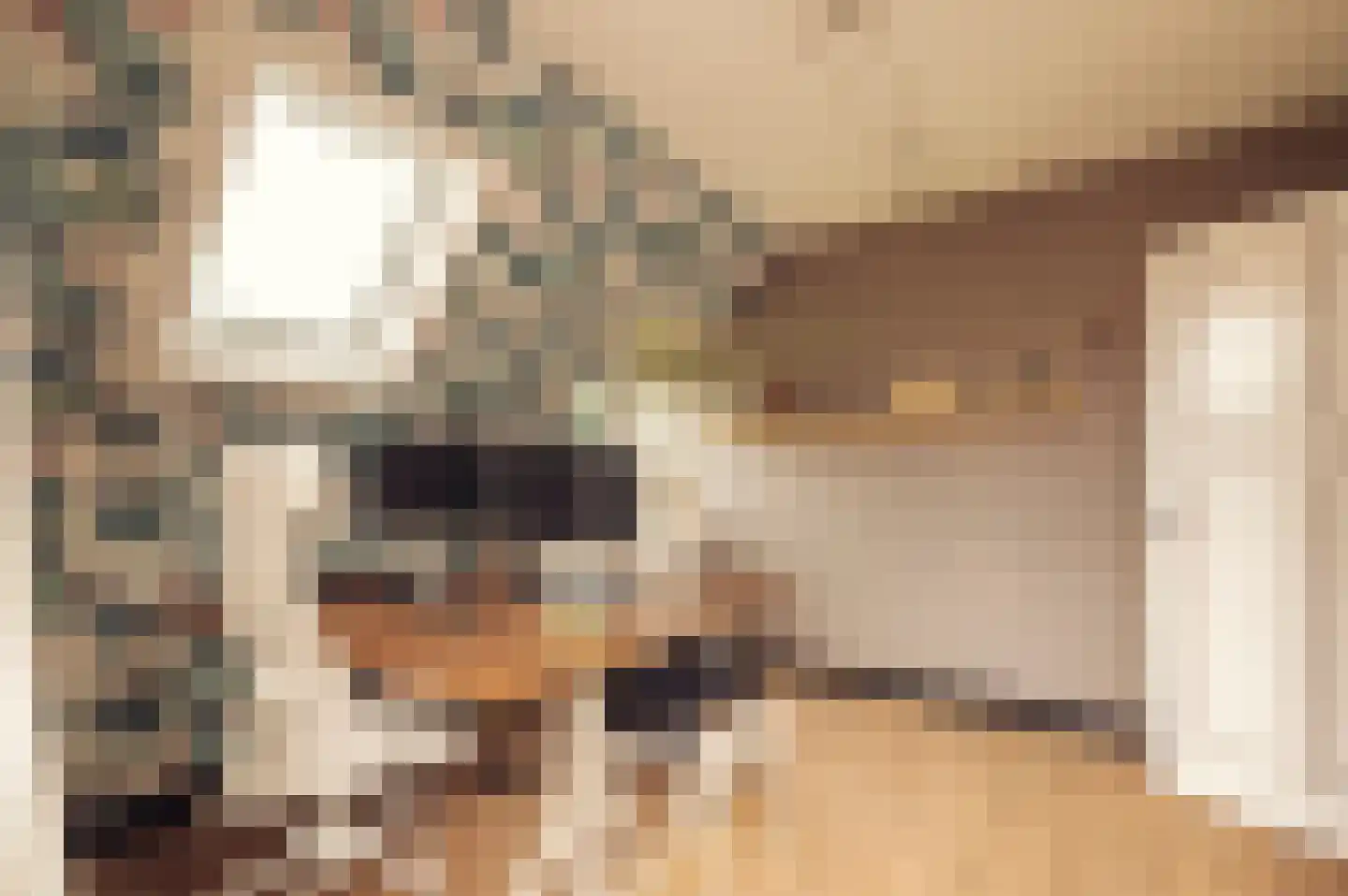 De Hout 46 Hem thumbnail 41