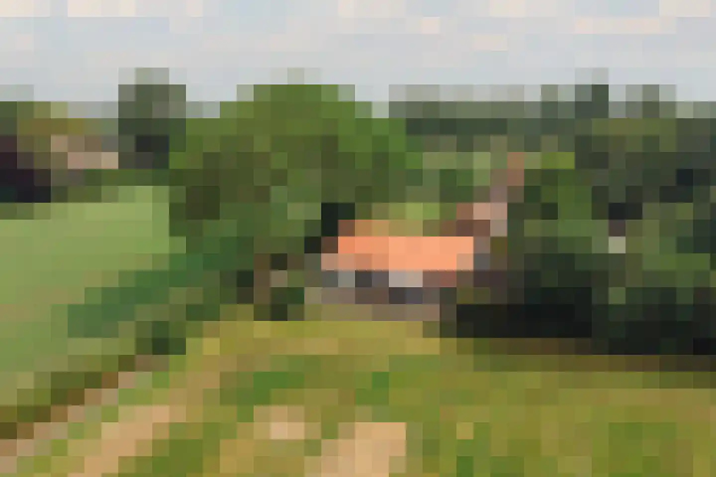 De Hout 46 Hem thumbnail 5