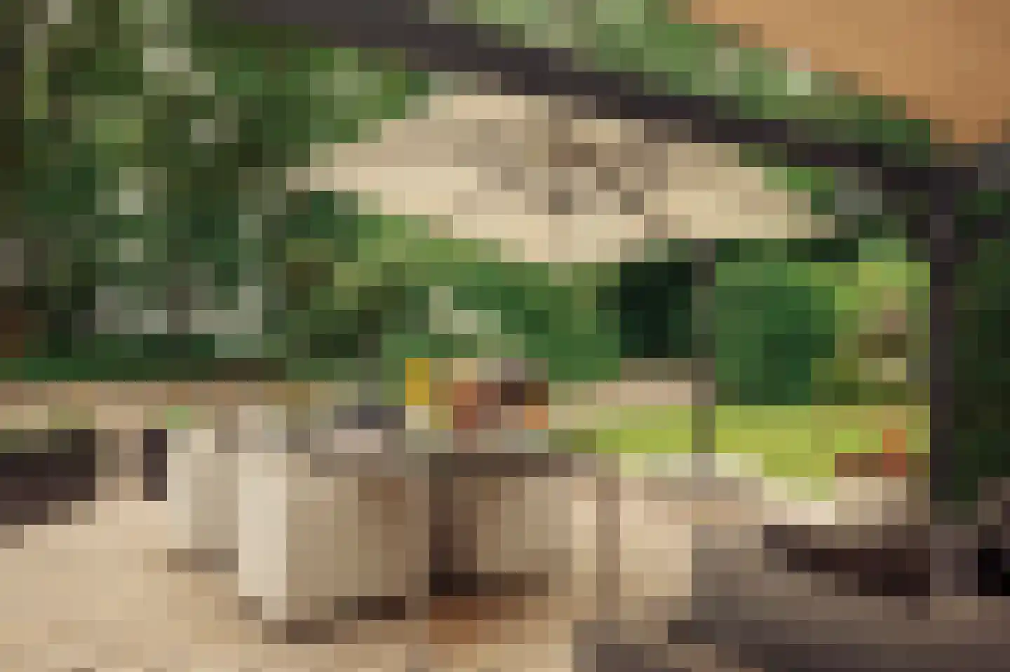 De Hout 46 Hem thumbnail 51