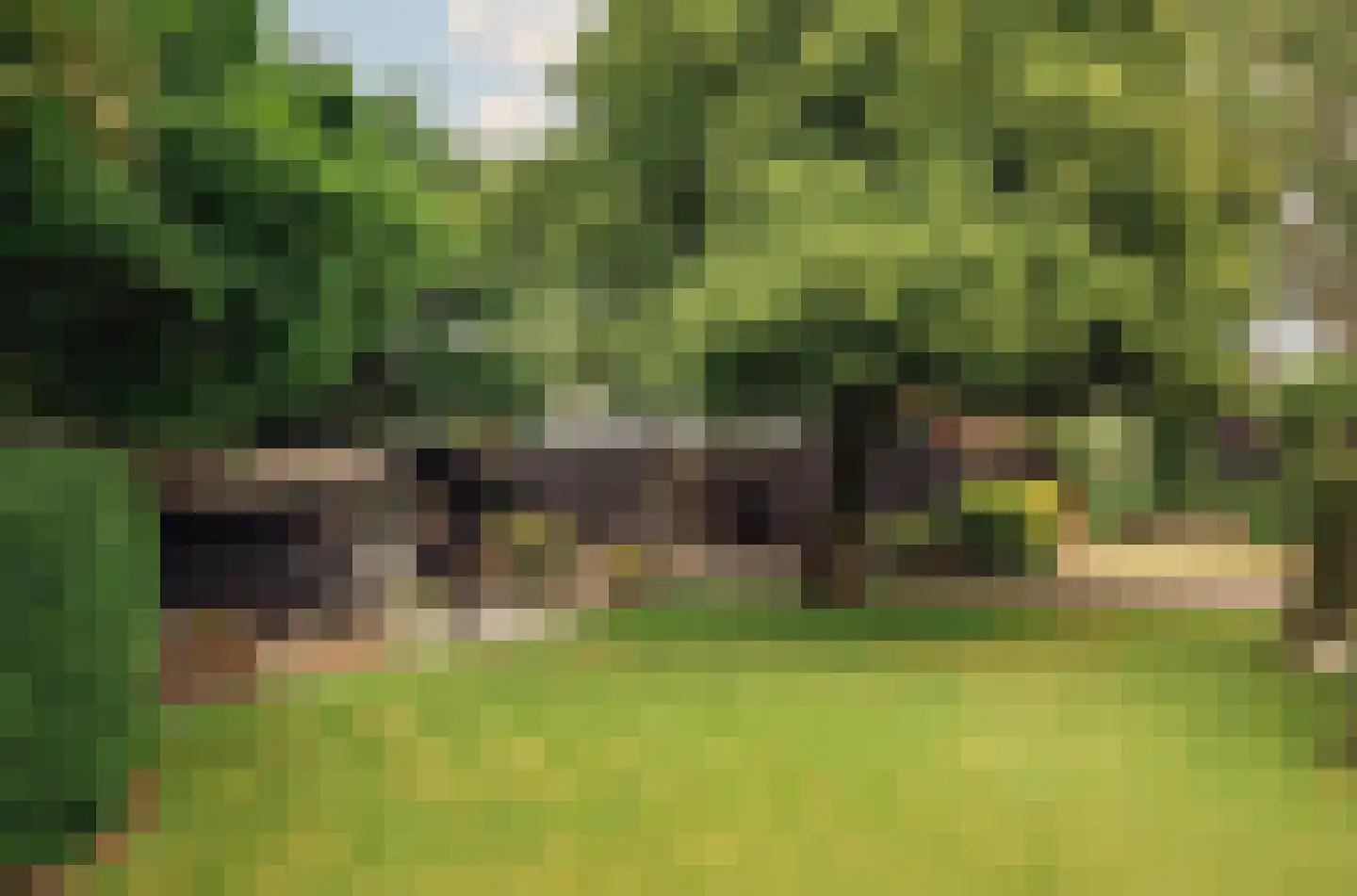 De Hout 46 Hem thumbnail 57
