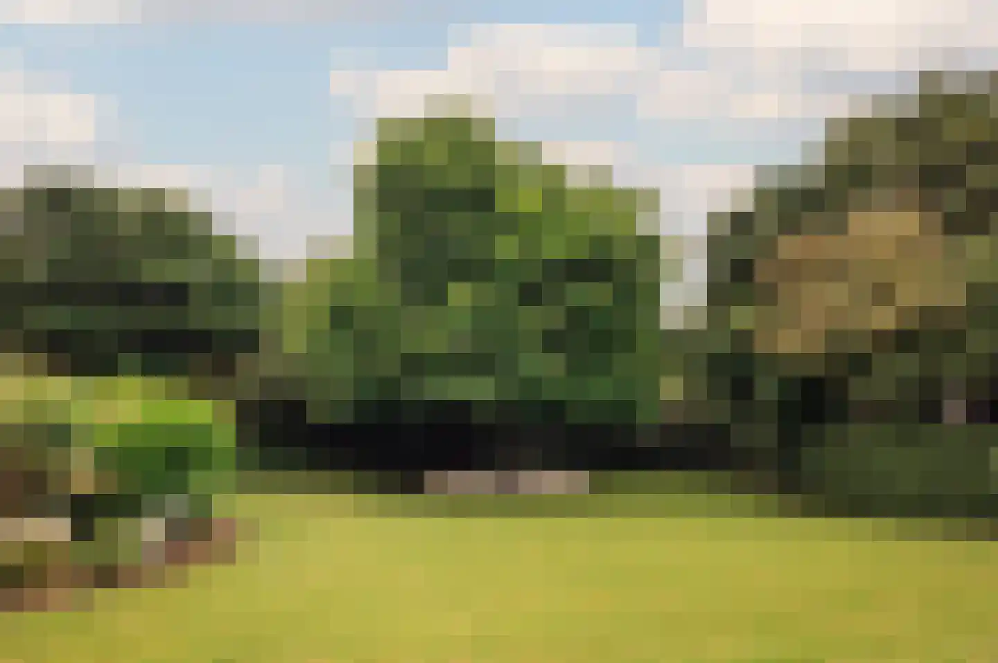 De Hout 46 Hem thumbnail 59