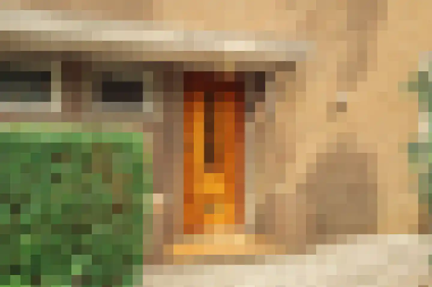 De Hout 46 Hem thumbnail 6