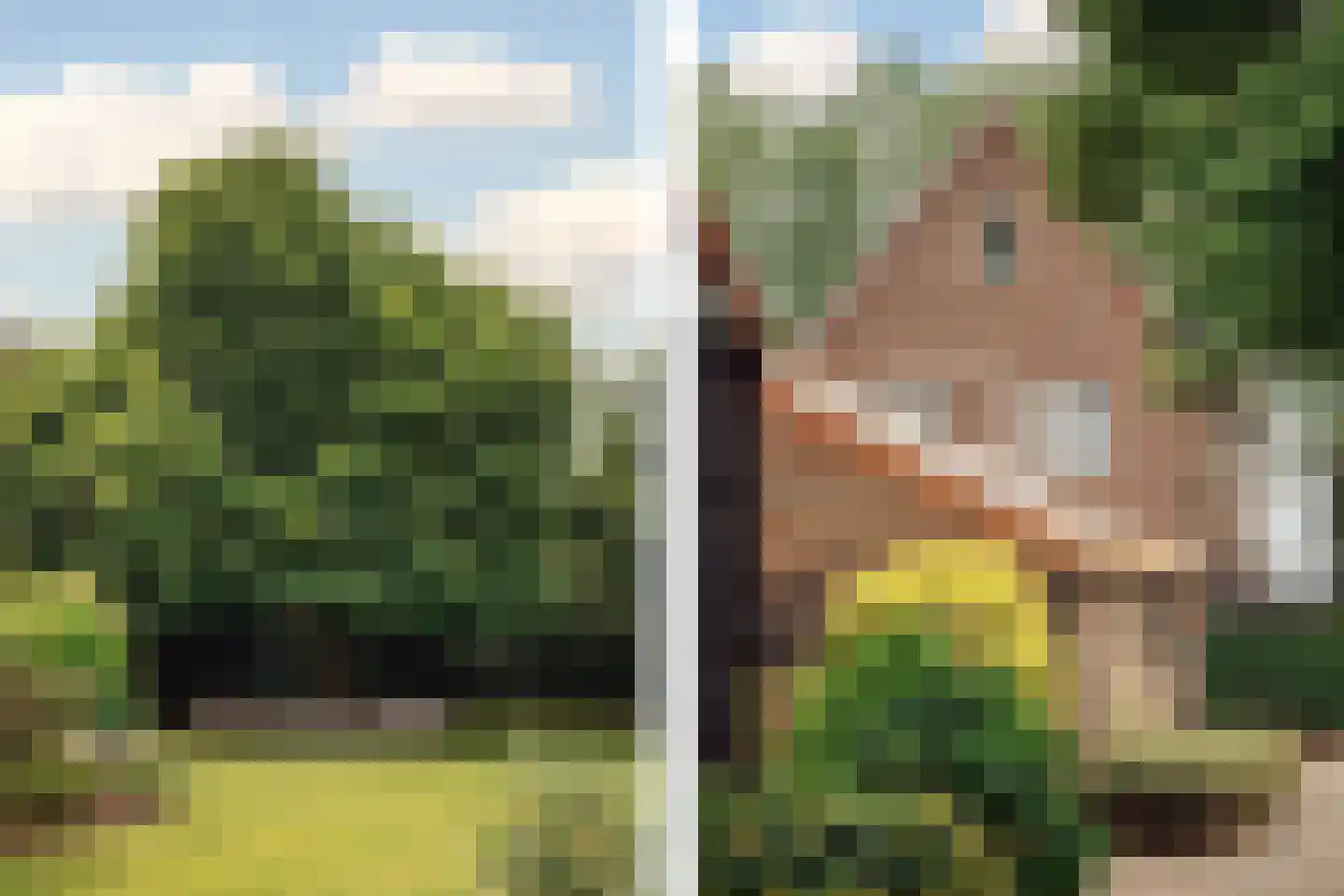 De Hout 46 Hem thumbnail 60