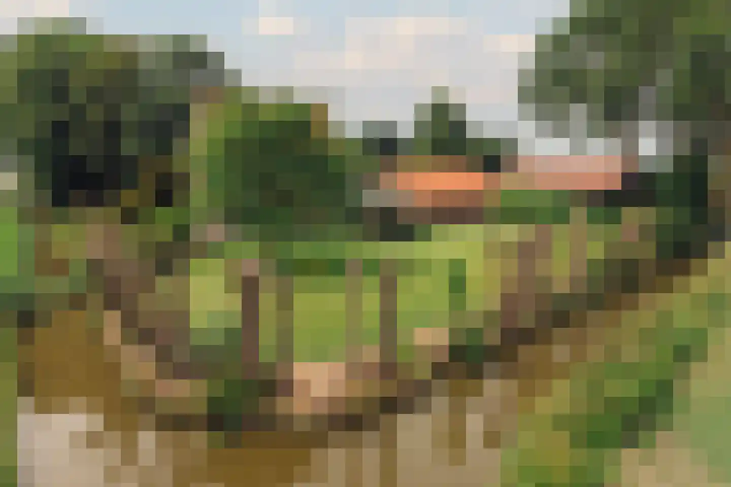 De Hout 46 Hem thumbnail 65