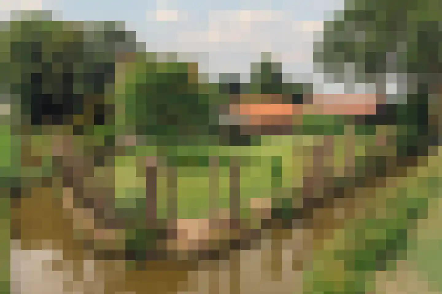 De Hout 46 Hem thumbnail 66